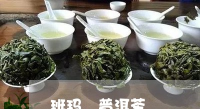 班玛 普洱茶/2023042867340